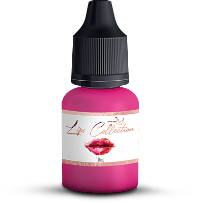 KIT LIPS COLLECTION WITH 4 PREMIUM PIGMENTS KIT LIPS COLLECTION WITH 4 PREMIUM PIGMENTS